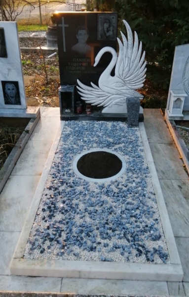 Общ изглед на паметника с лебед
